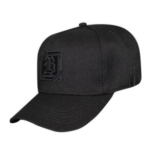 Bone Snapback All Black Zig Zag